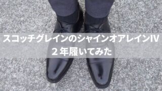 【使用感レビュー】スコッチグレインのシャインオアレインⅣを2年履いてみた感想