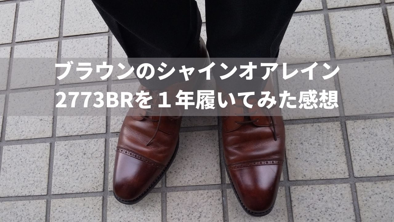 【レビュー】ブラウンのシャインオアレイン（2773BR）を１年履いてみた【茶色の革靴が雨で履けます】 